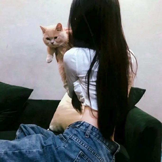 让爱飞翔